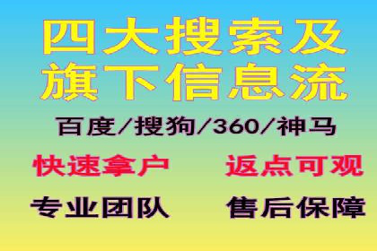 专业网站SEM托管服务案例展示